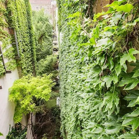 Downtown Ruin Bar Location * ブダペスト